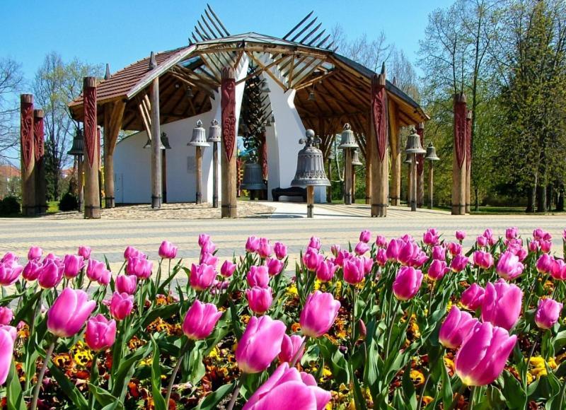 White Stone Apartman Hajdúszoboszló المظهر الخارجي الصورة